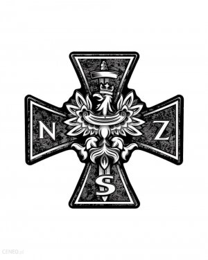 Sprawozdanie z działalności Związku Żołnierzy Narodowych Sił Zbrojnych  za okres: 9.04.2016–6.10.2018
