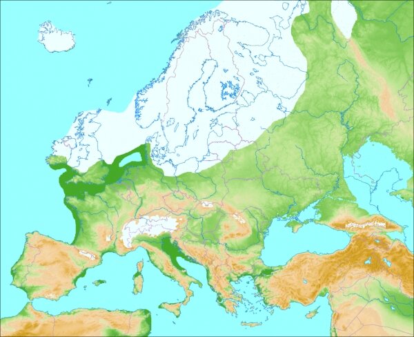 Lech Obodrzycki - Ekologiczne i eugeniczne podstawy rozwoju narodu, rasy i  podgatunku.  Ewolucyjna analiza źródeł cywilizacyjnego regresu Indoeuropejczyków.Część II