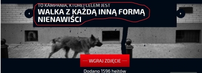 Mowa nienawiści” - kij ma dwa końce; jak wykorzystać go do narodowych celów? Krótki poradnik surfowania po sieci